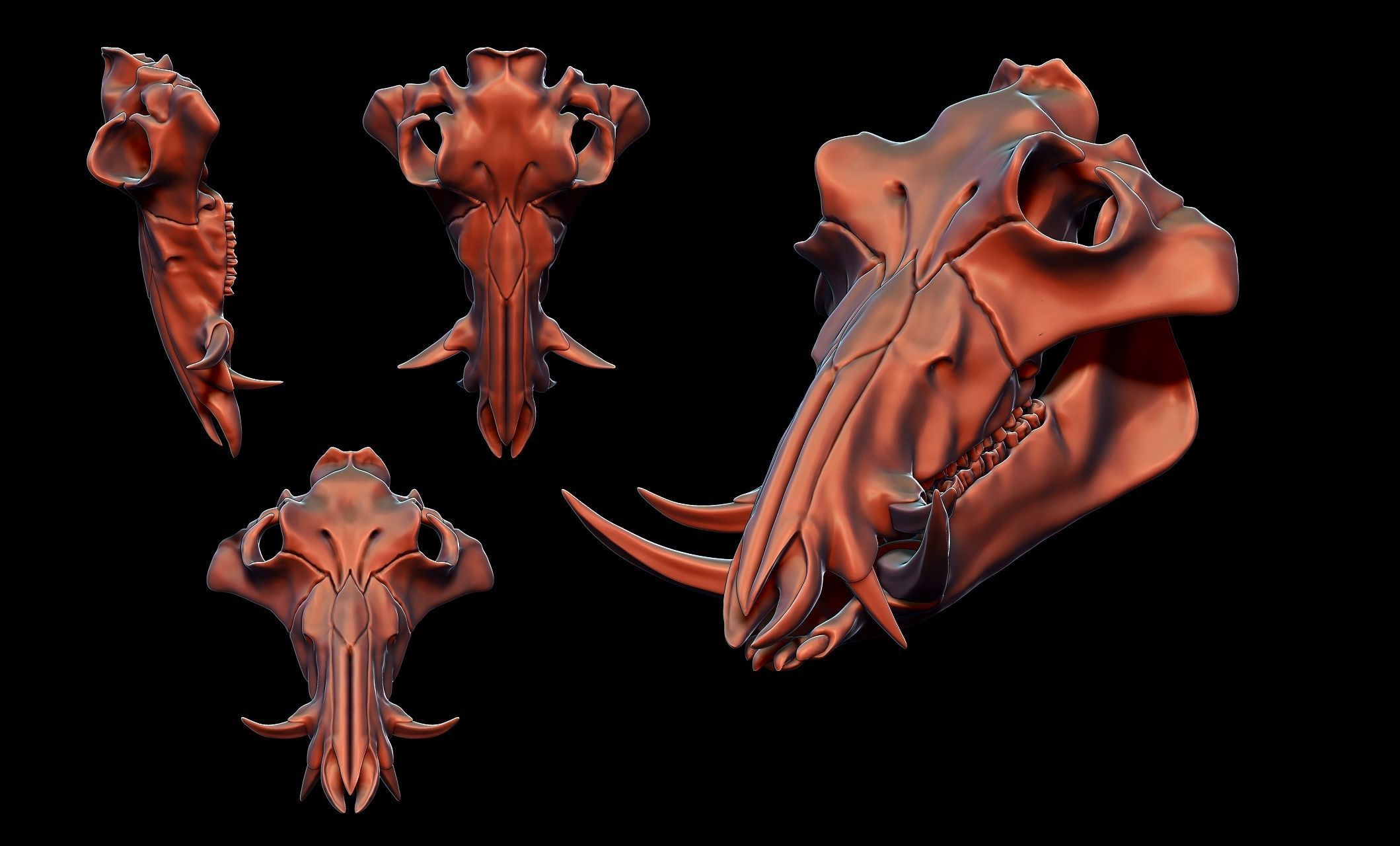 Boar Skull - CNC and 3D print model_16