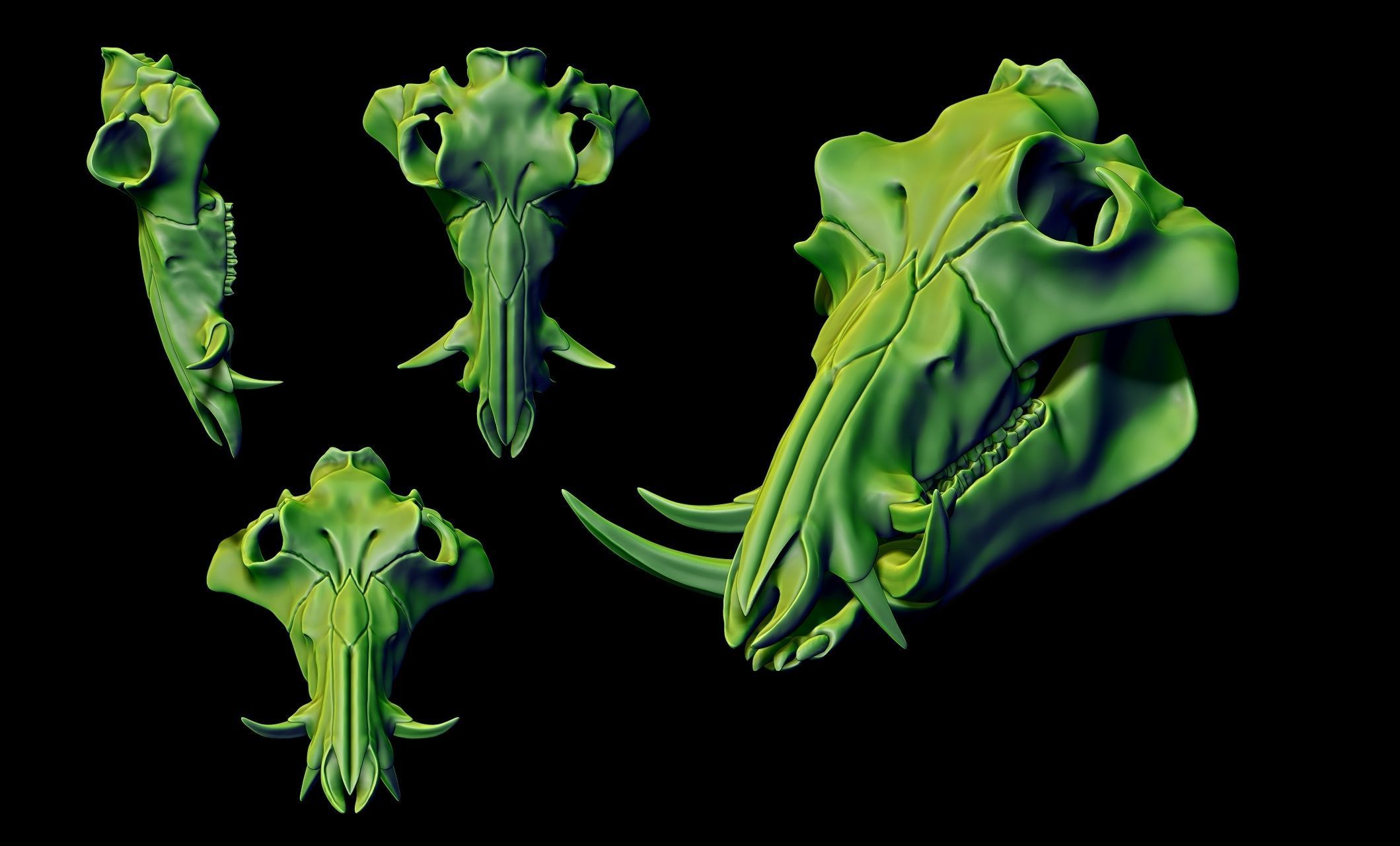 Boar Skull - CNC and 3D print model_11