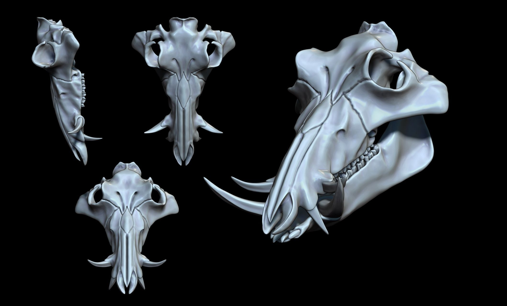 Boar Skull - CNC and 3D print model_2