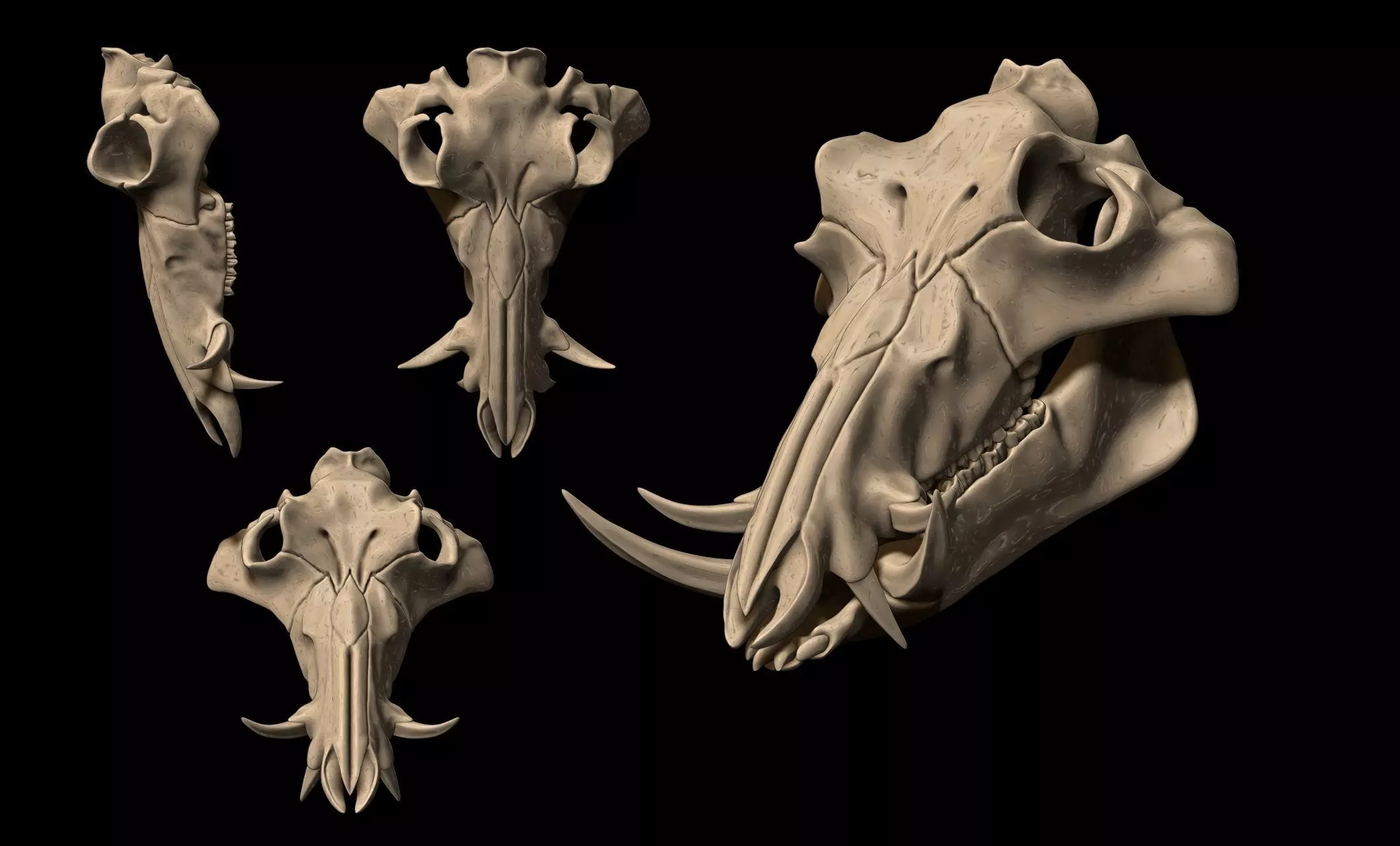 Boar Skull - CNC and 3D print model_0