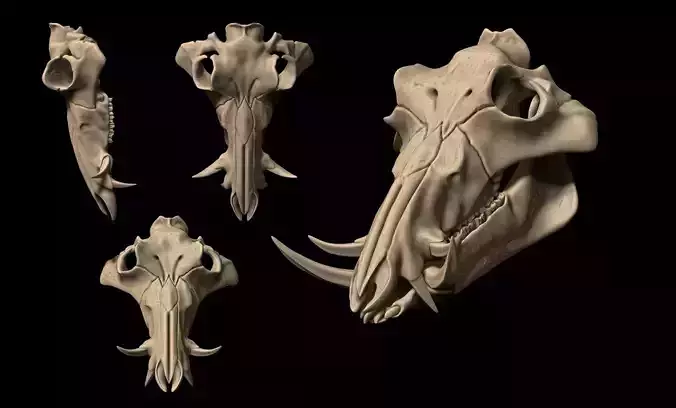 Boar Skull - CNC and 3D print model