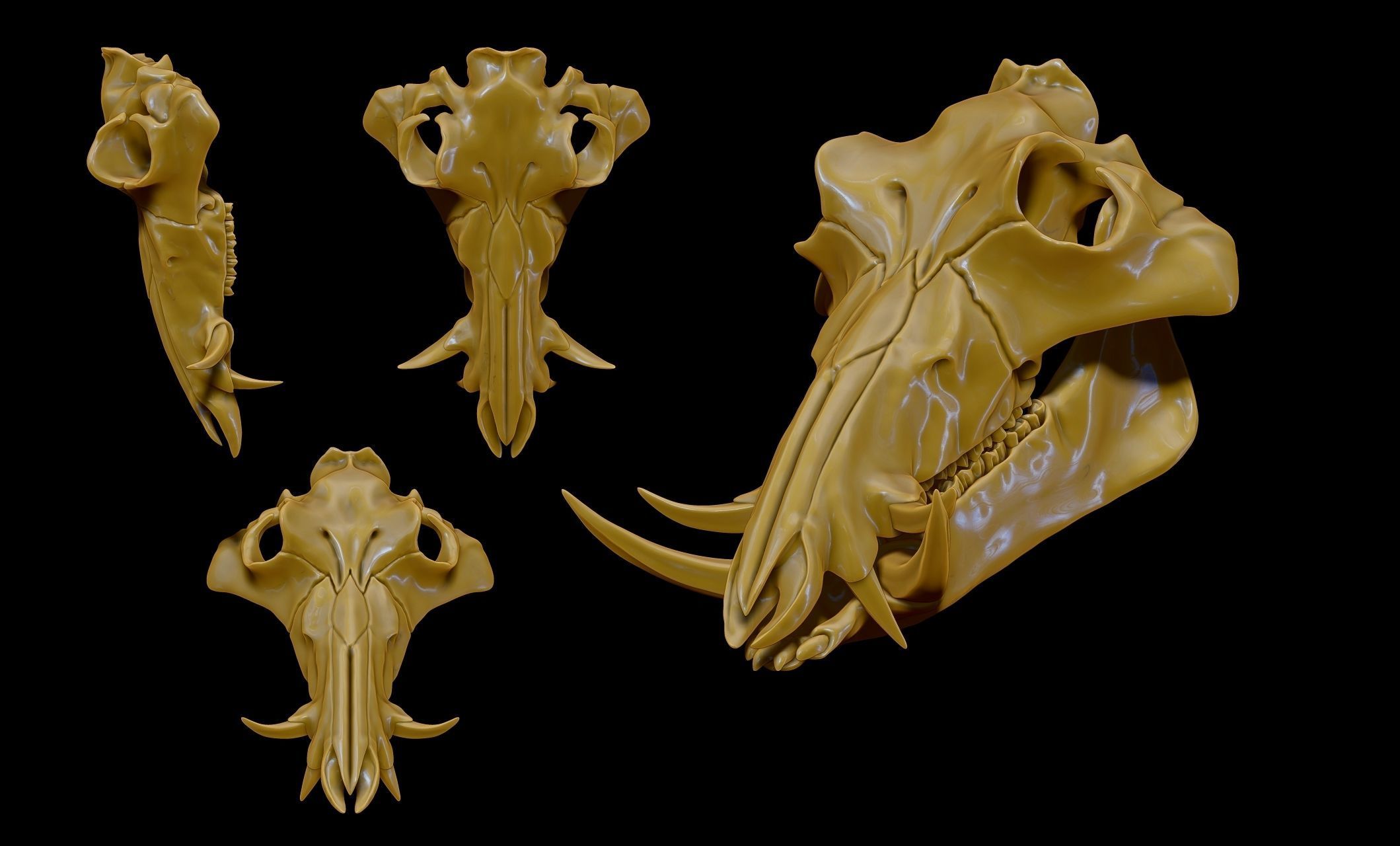 Boar Skull - CNC and 3D print model_6