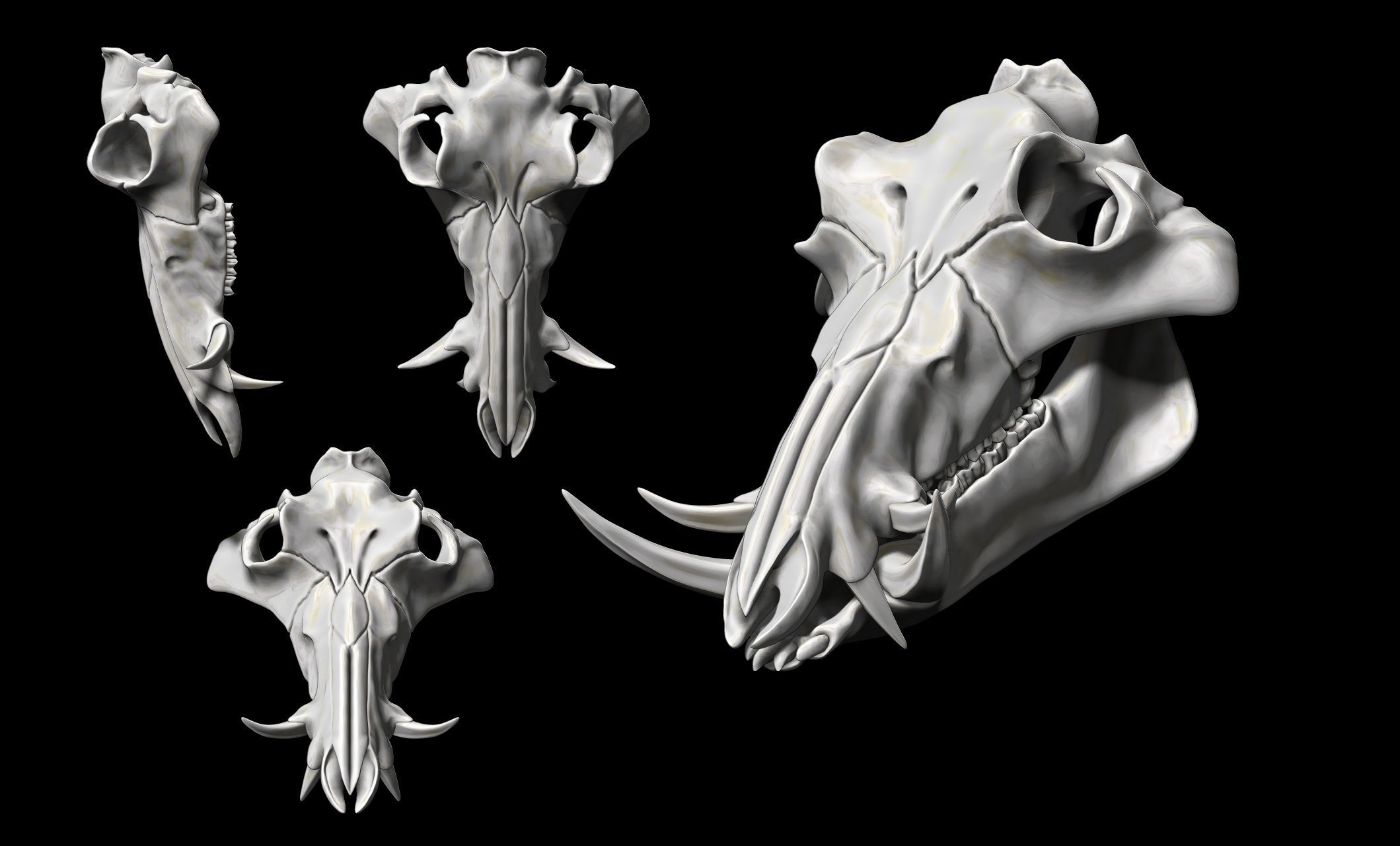 Boar Skull - CNC and 3D print model_10