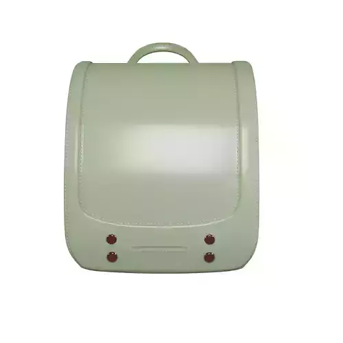 student green bag v9