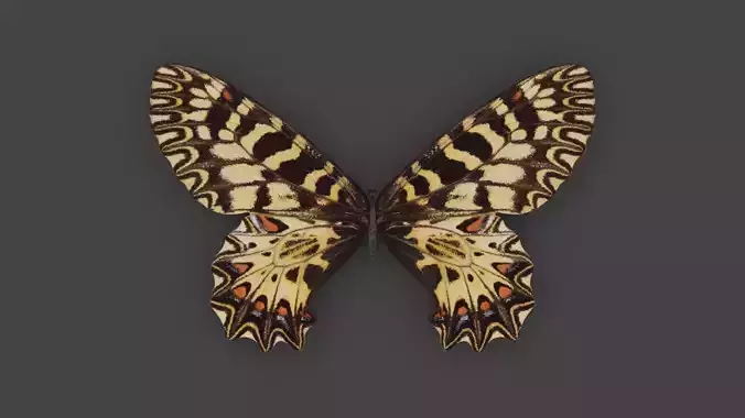 BFLY-001 Butterfly Low-poly 3D model