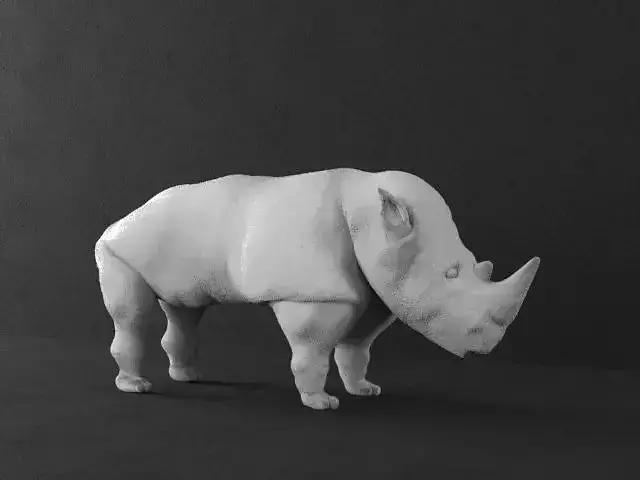 rhino