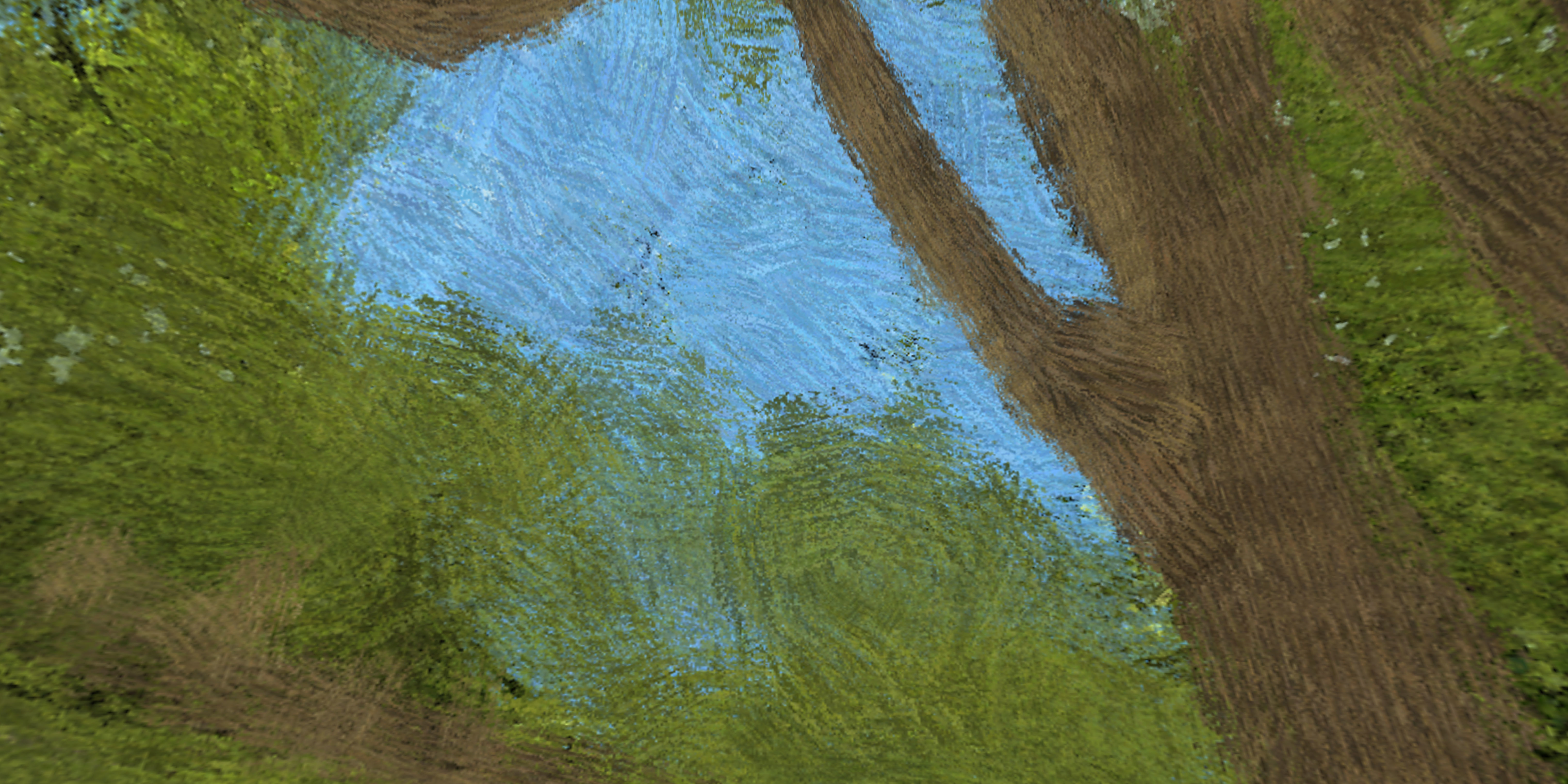 360 VR HDRI Panoramic Skybox equirectangular handpainted forest  Low-poly 3D model_9