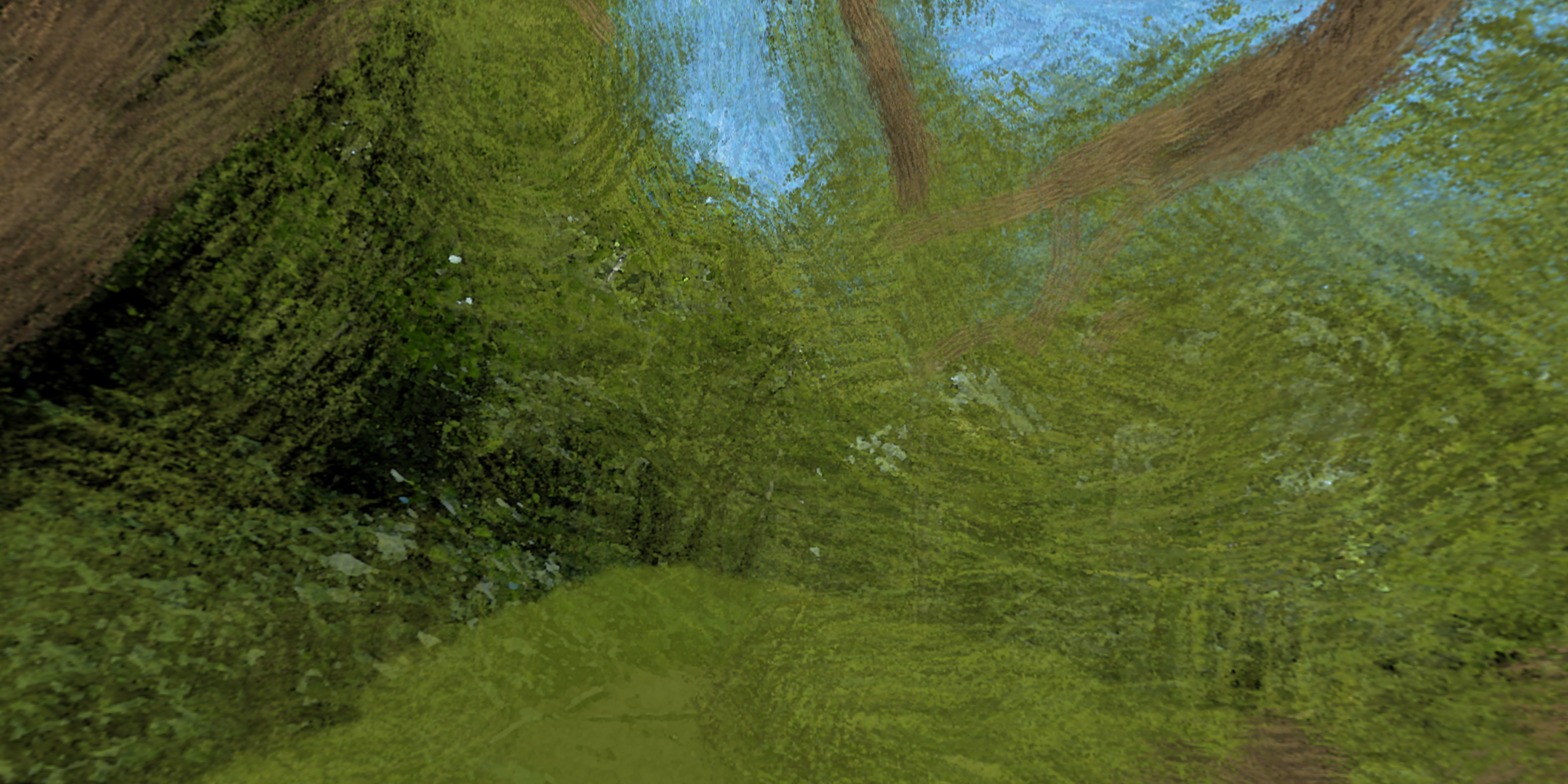 360 VR HDRI Panoramic Skybox equirectangular handpainted forest  Low-poly 3D model_8