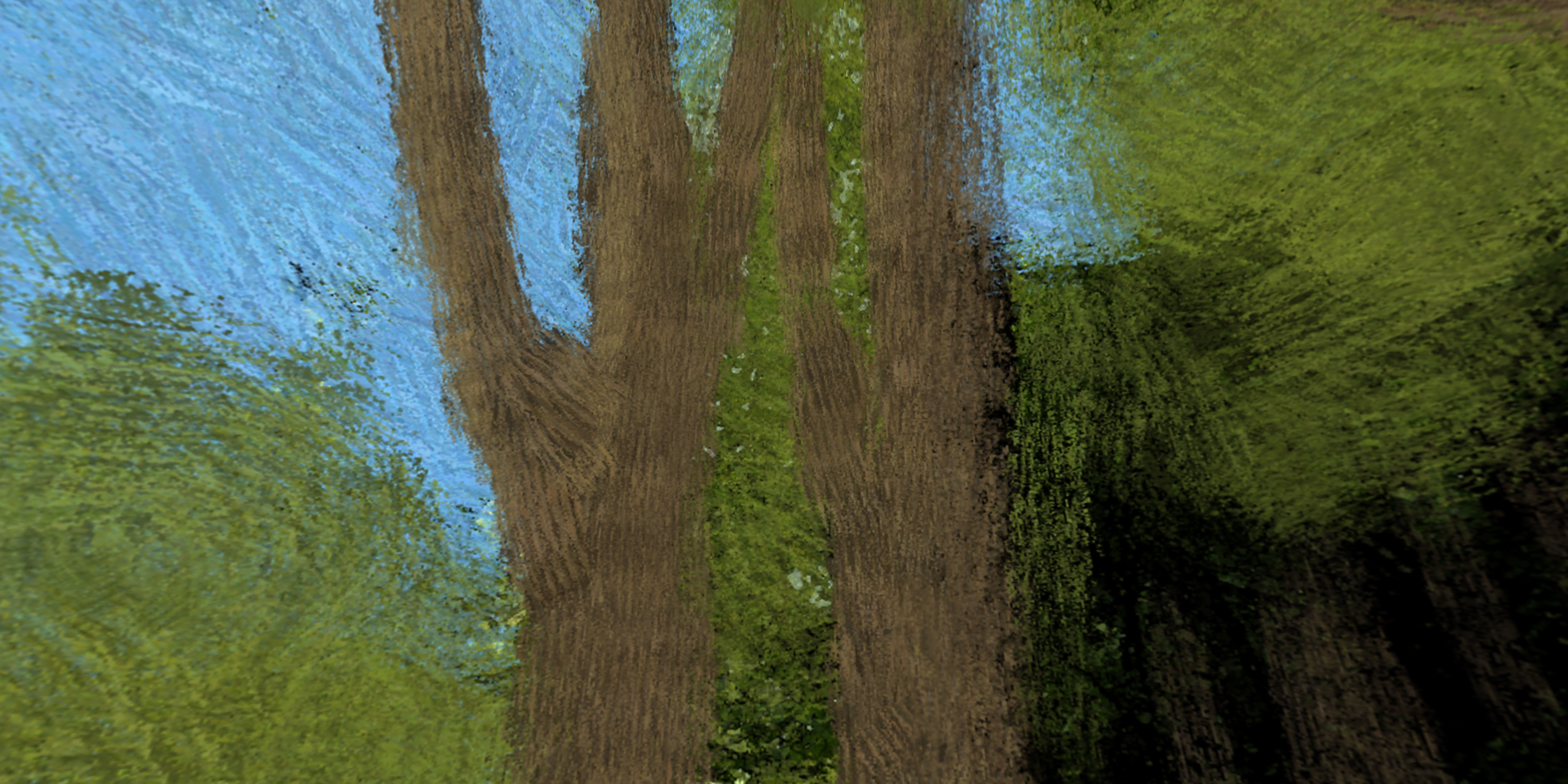 360 VR HDRI Panoramic Skybox equirectangular handpainted forest  Low-poly 3D model_6