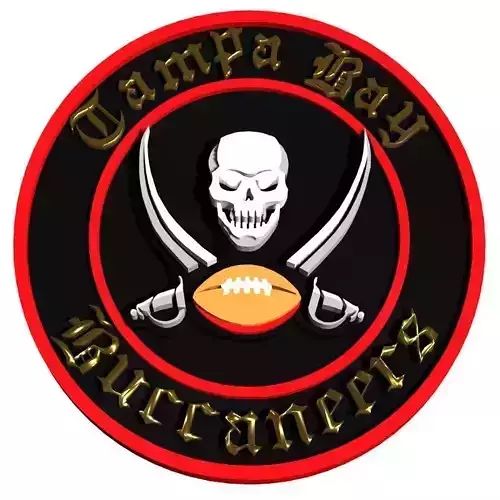 Tampa Bay Buccaneers disc