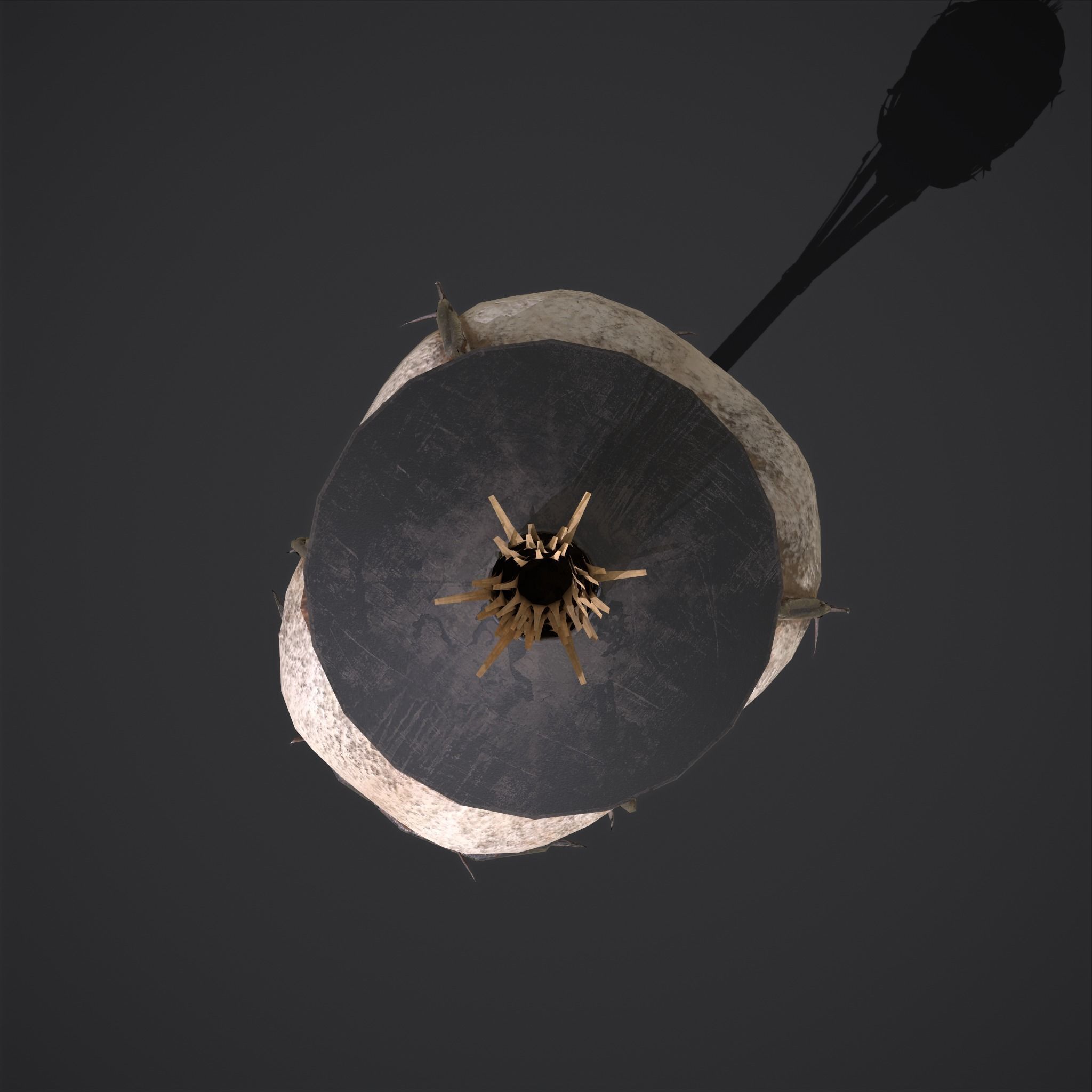 Skull Torch Low-poly 3D model_24