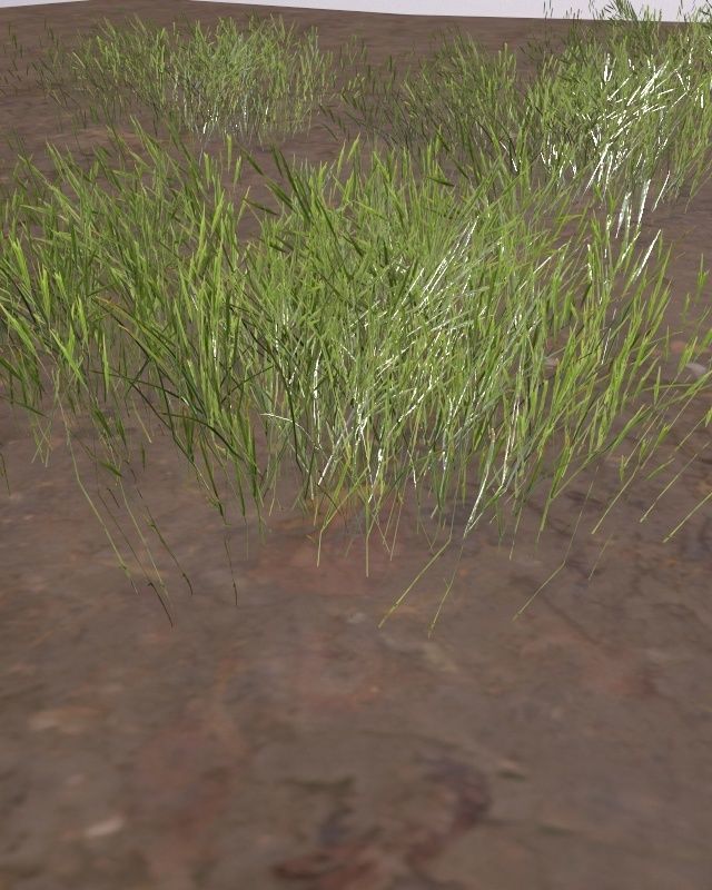 tall grass foliage shrub bush Low-poly 3D model_9