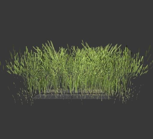 tall grass foliage shrub bush Low-poly 3D model_7