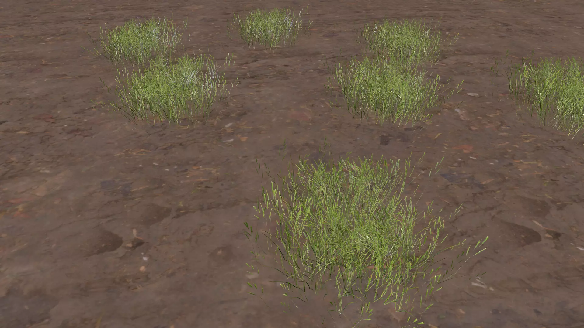 tall grass foliage shrub bush Low-poly 3D model_0