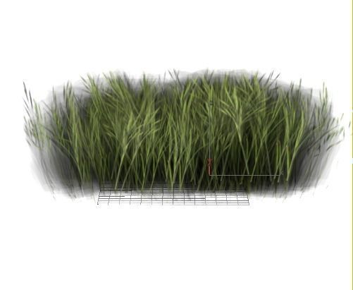 tall grass foliage shrub bush Low-poly 3D model_10