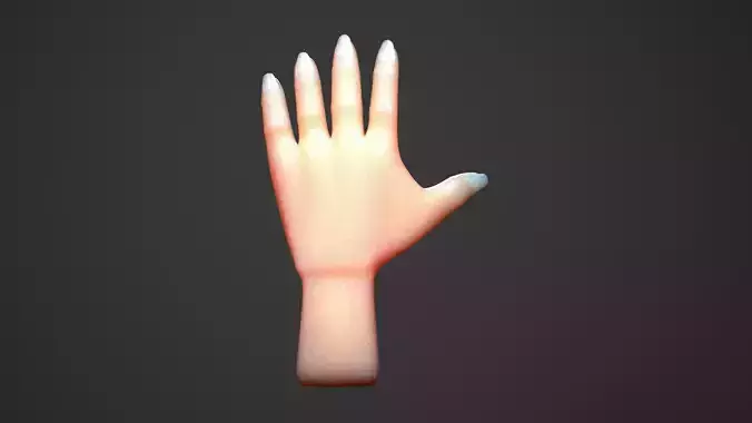 Hand Human 3D model