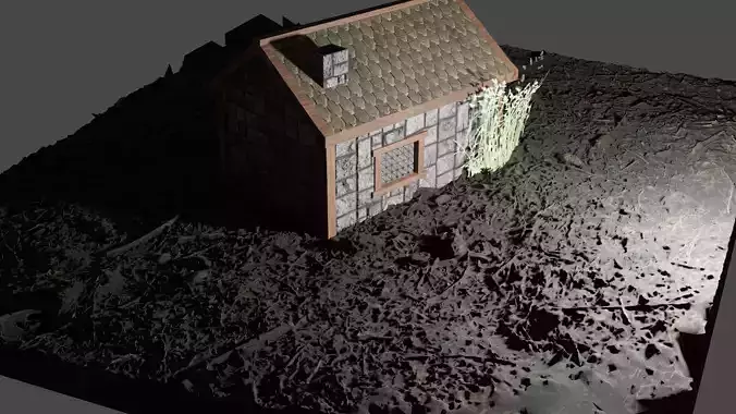 environment house in dirt