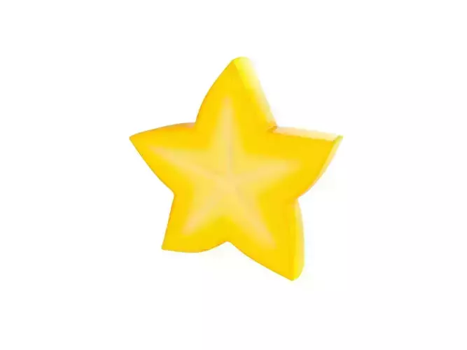 Star Fruit Slice