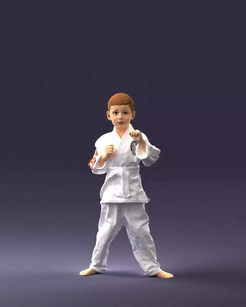 000195 Young Martial Artist Boy 1016 3dp 3D print model_0