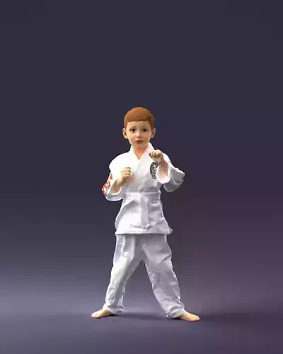 000195 Young Martial Artist Boy 1016 3dp
