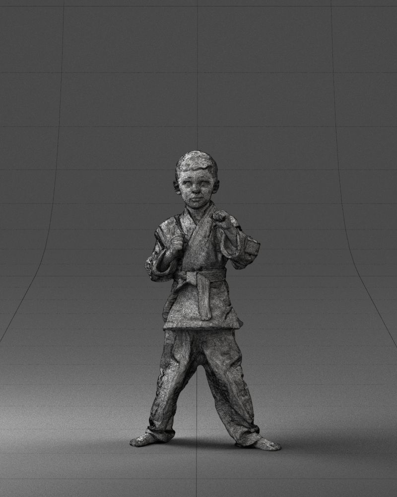 000195 Young Martial Artist Boy 1016 3dp 3D print model_38