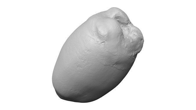Green Coconut Raw Scanned 3D model 2