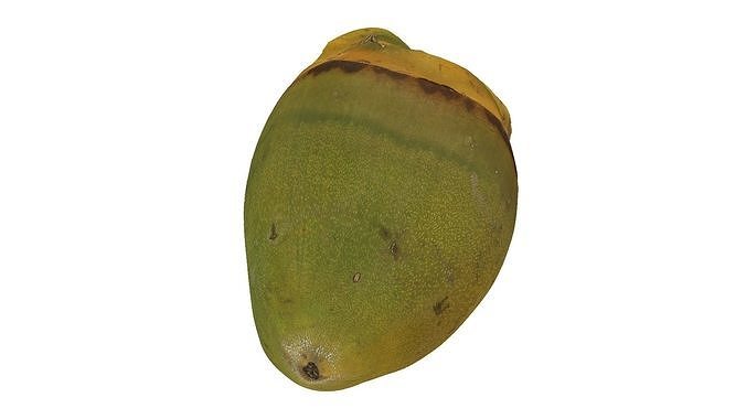 Green Coconut Raw Scanned 3D model 4