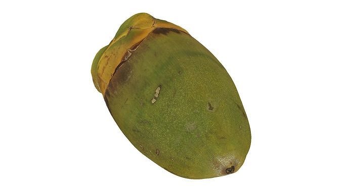 Green Coconut Raw Scanned 3D model 5