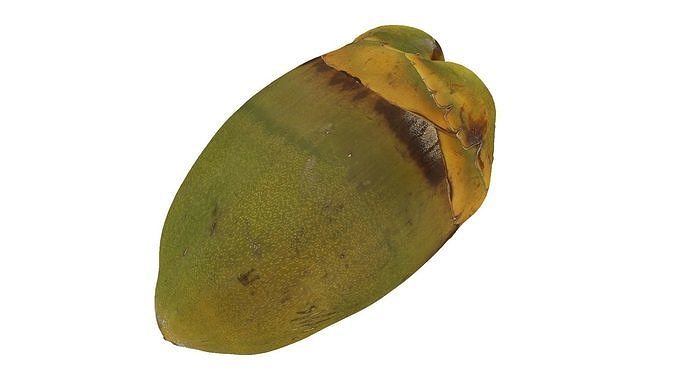Green Coconut Raw Scanned 3D model 3