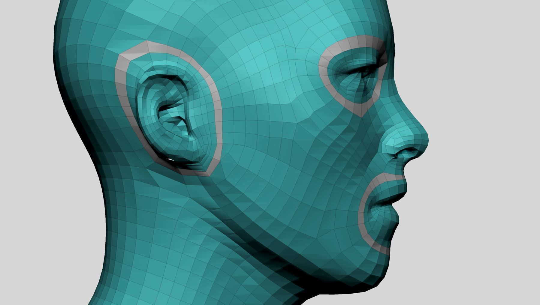 Base Head Topology 3D model_4