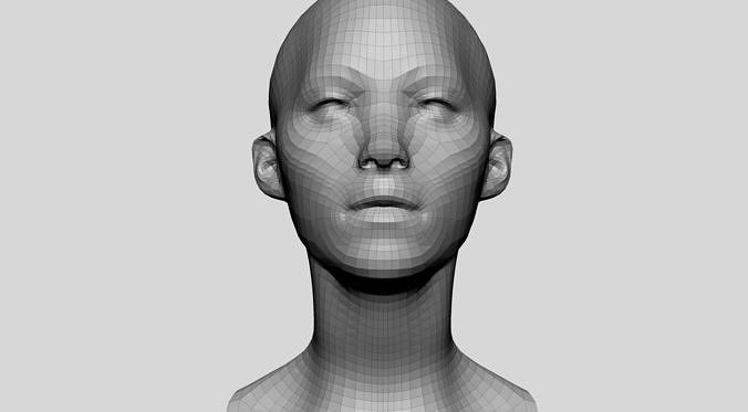 Base Head Topology 3D model