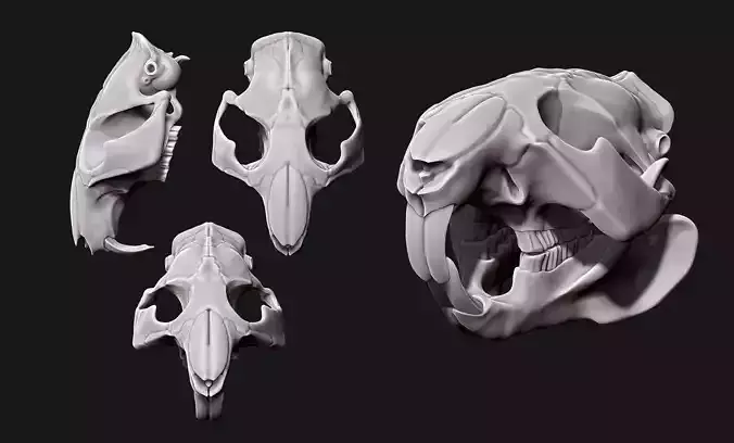 Beaver Skull - CNC and 3D print model