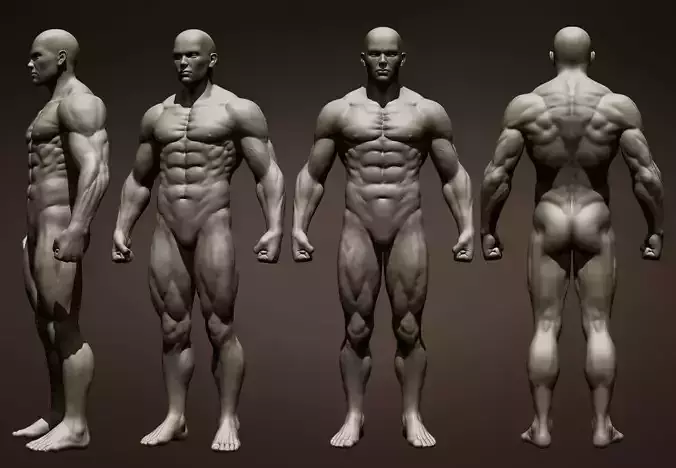 Realistic Male Full Body Free 3D model