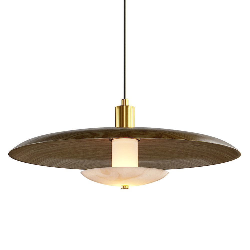 Lampatron Reason pendant lamp 3D model_1
