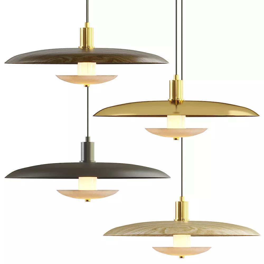 Lampatron Reason pendant lamp 3D model_0