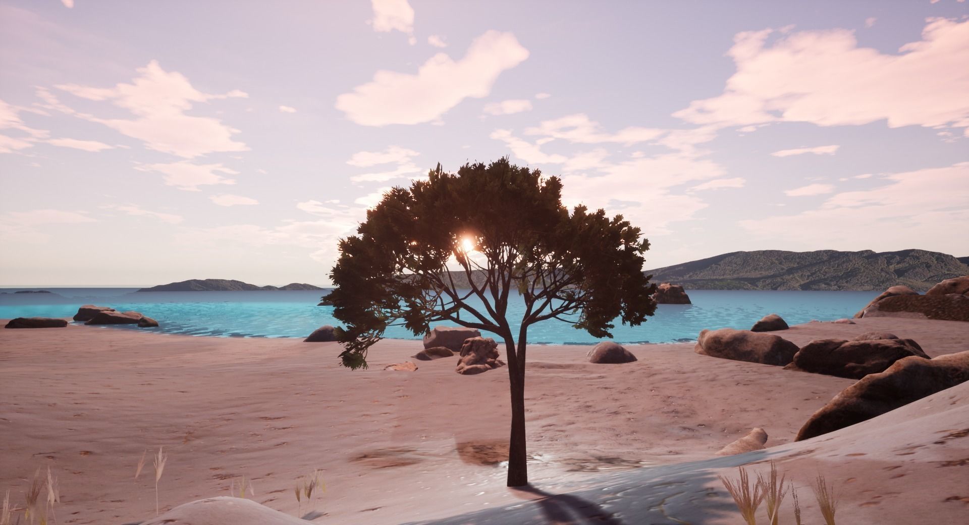 Low-Poly and Game-Ready Pinus Pinea - Stone Pine 02 Low-poly 3D model_1