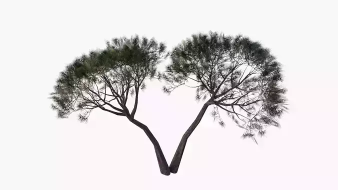 Low-Poly and Game-Ready Pinus Pinea - Stone Pine 02 Low-poly 3D model