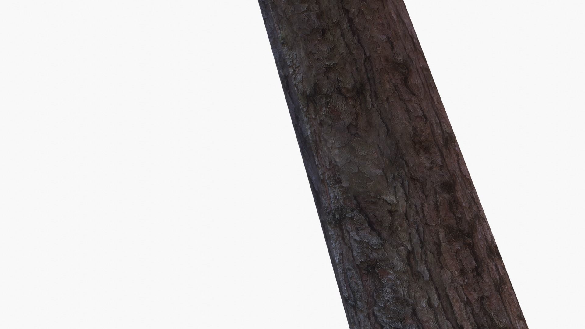 Low-Poly and Game-Ready Pinus Pinea - Stone Pine 02 Low-poly 3D model_7