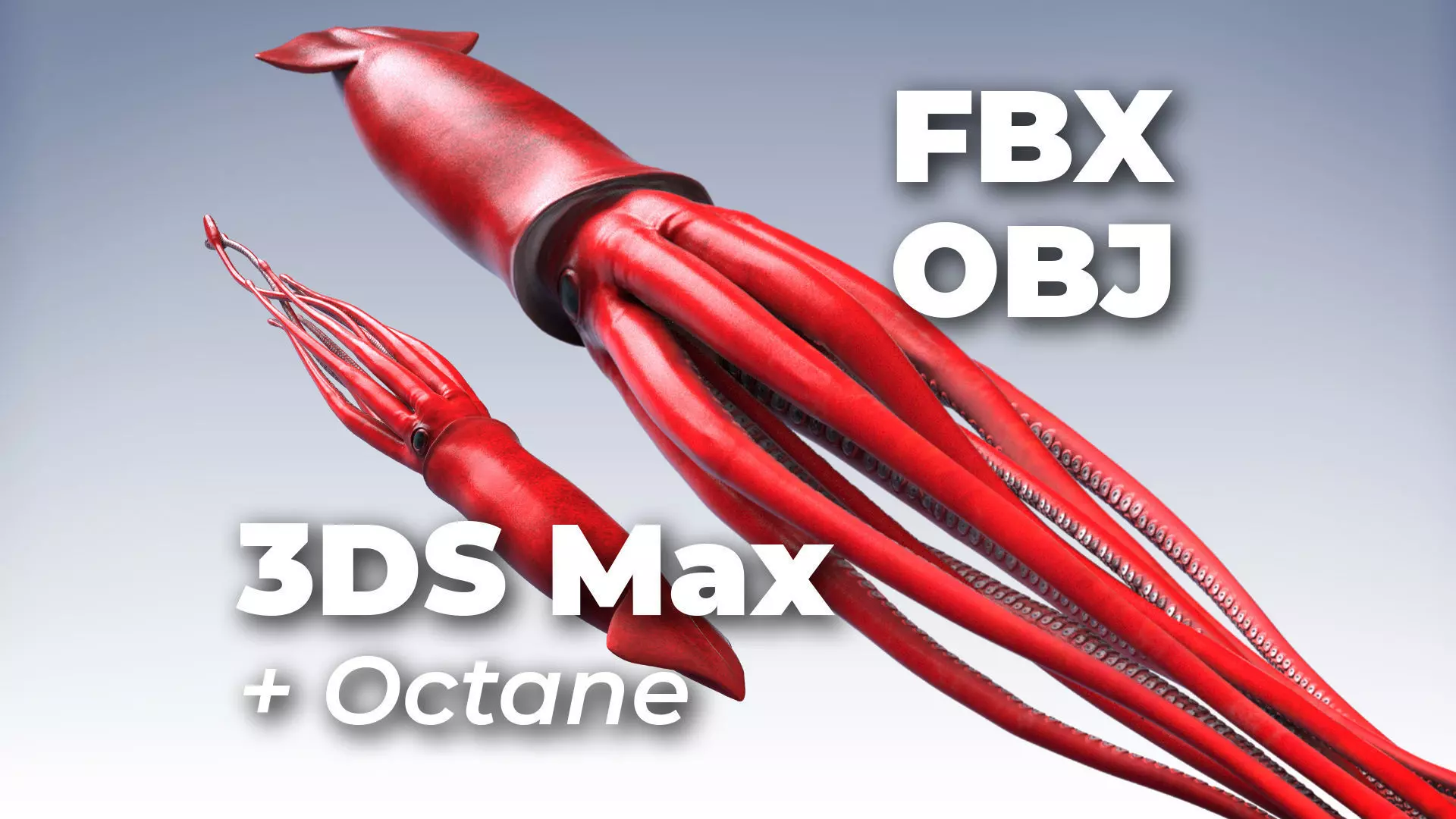 Giant Squid - 3DS Max Octane - FBX - Zbrush Low-poly 3D model