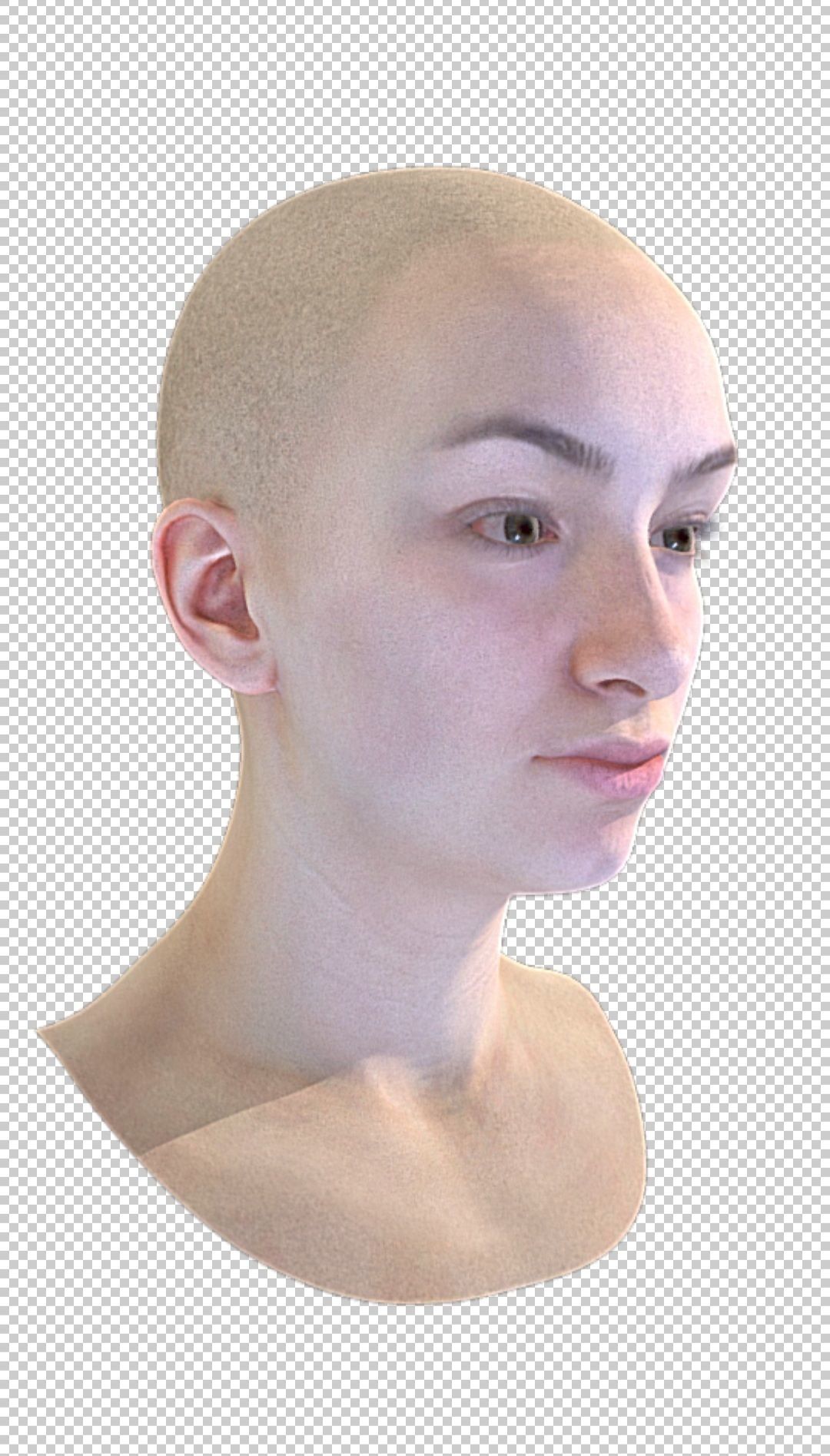 Female head rigged Low-poly 3D model_1