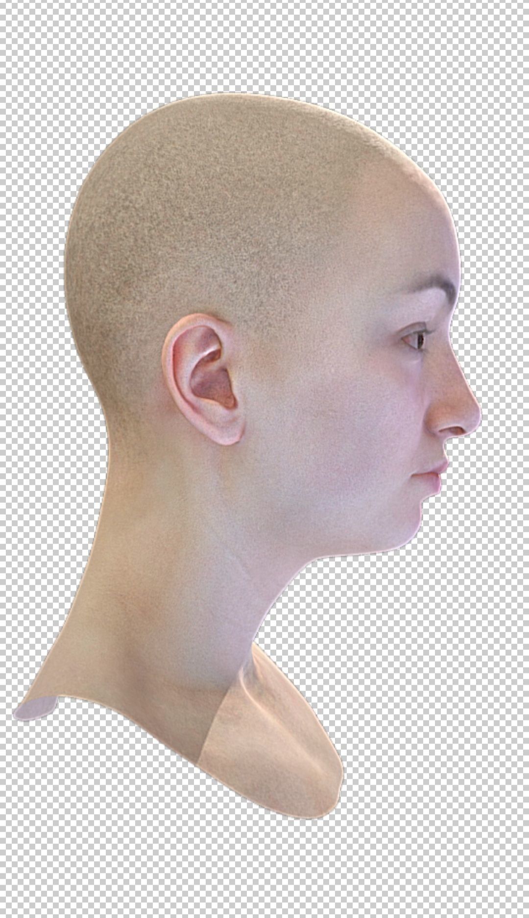 Female head rigged Low-poly 3D model_2