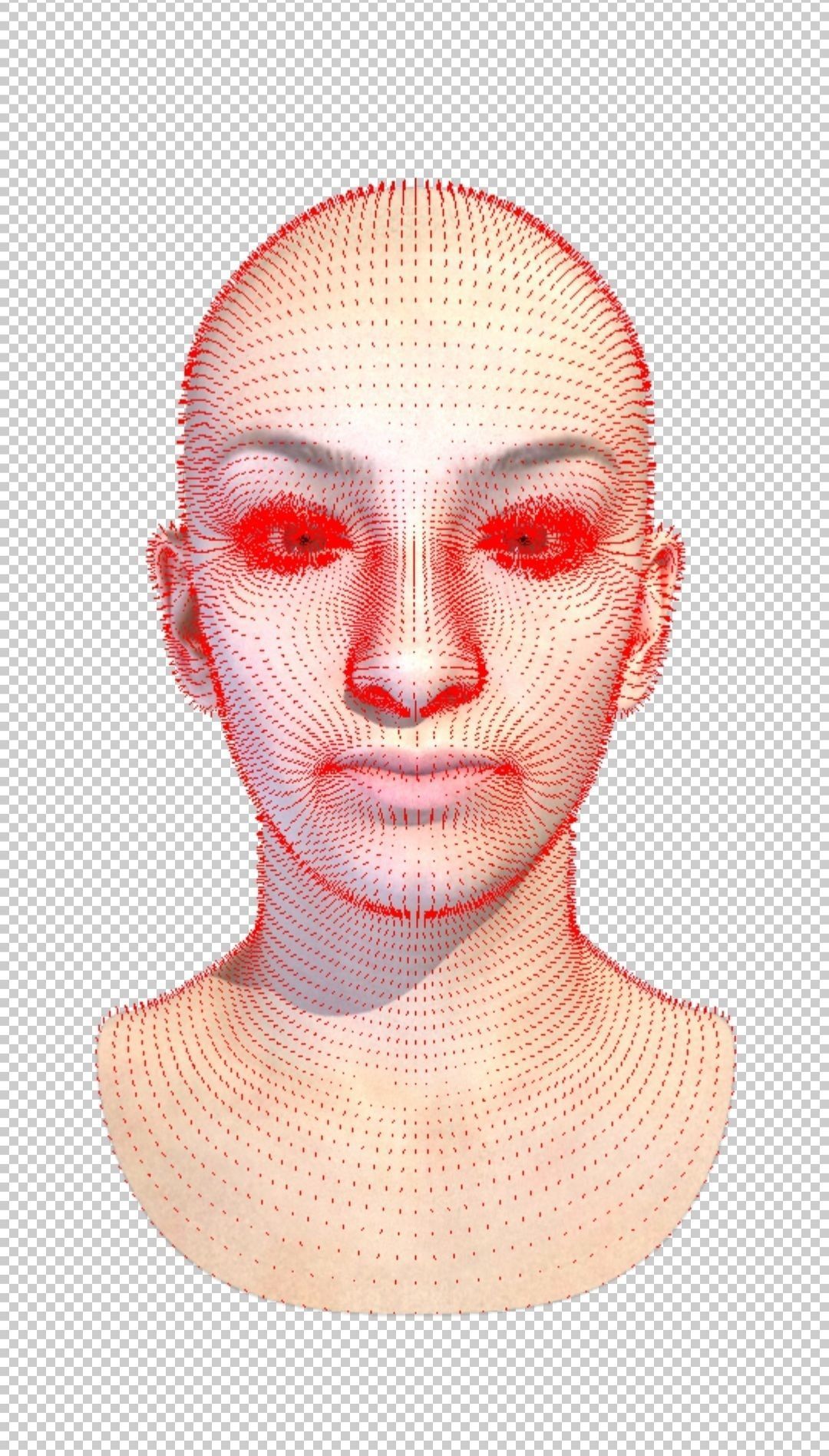 Female head rigged Low-poly 3D model_4