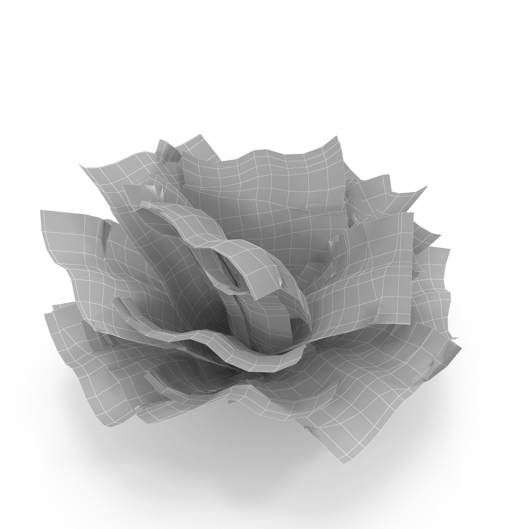 Selaginella plant 3D model_8