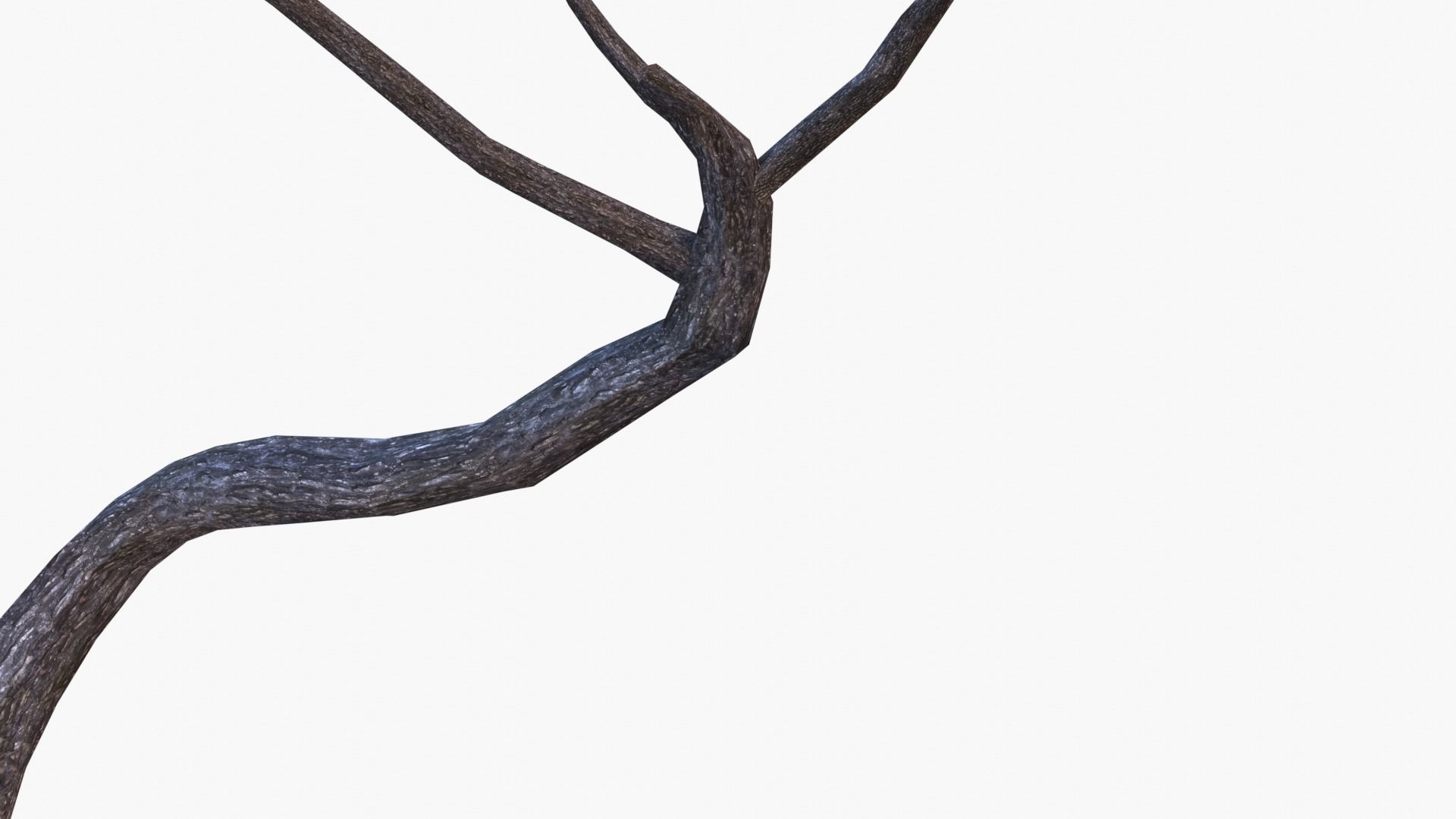 Low-Poly and Game-Ready Pinus Pinea - Stone Pine 04 Low-poly 3D model_6