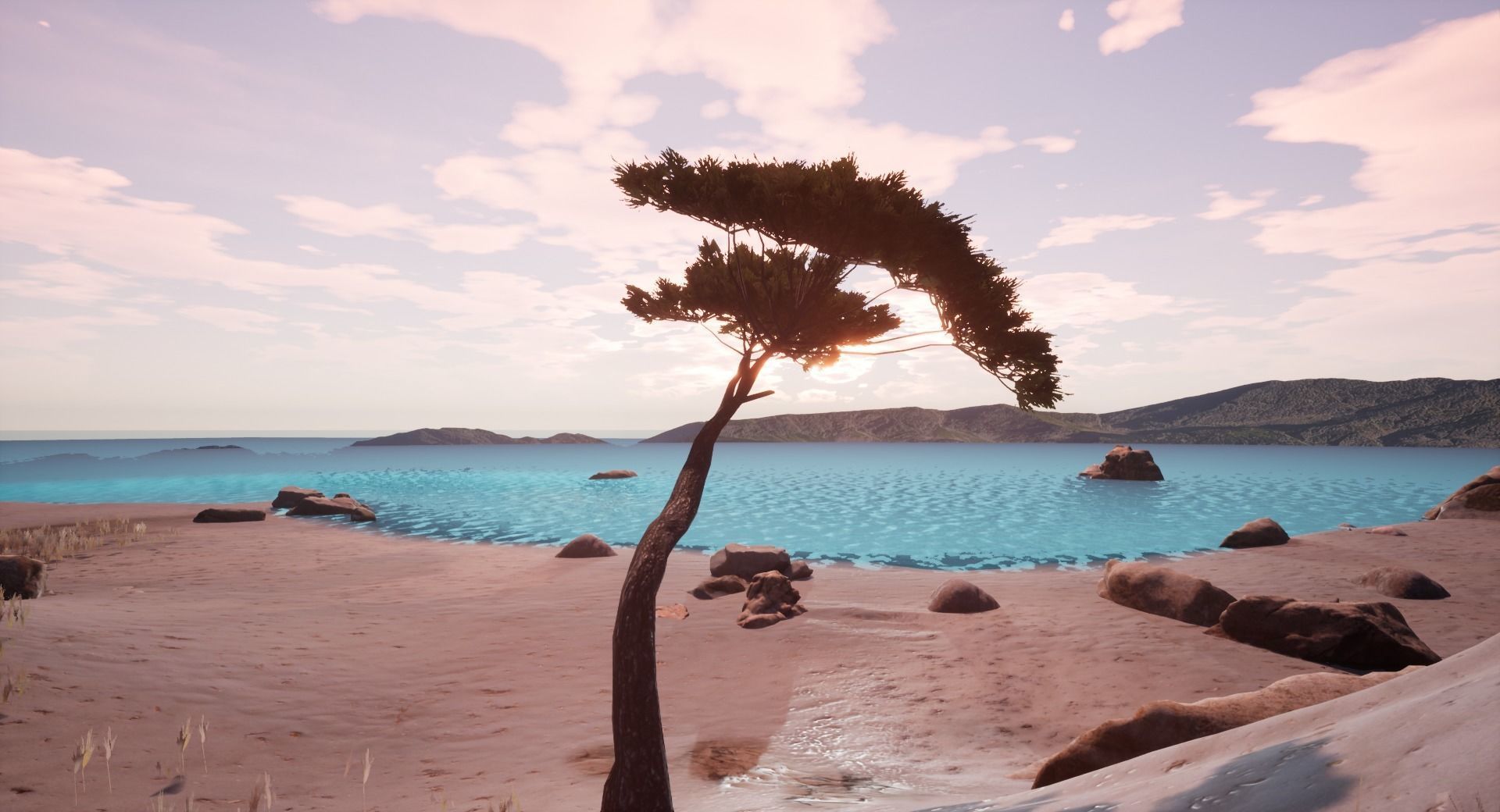 Low-Poly and Game-Ready Pinus Pinea - Stone Pine 04 Low-poly 3D model_1