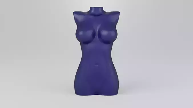 Female torso 1