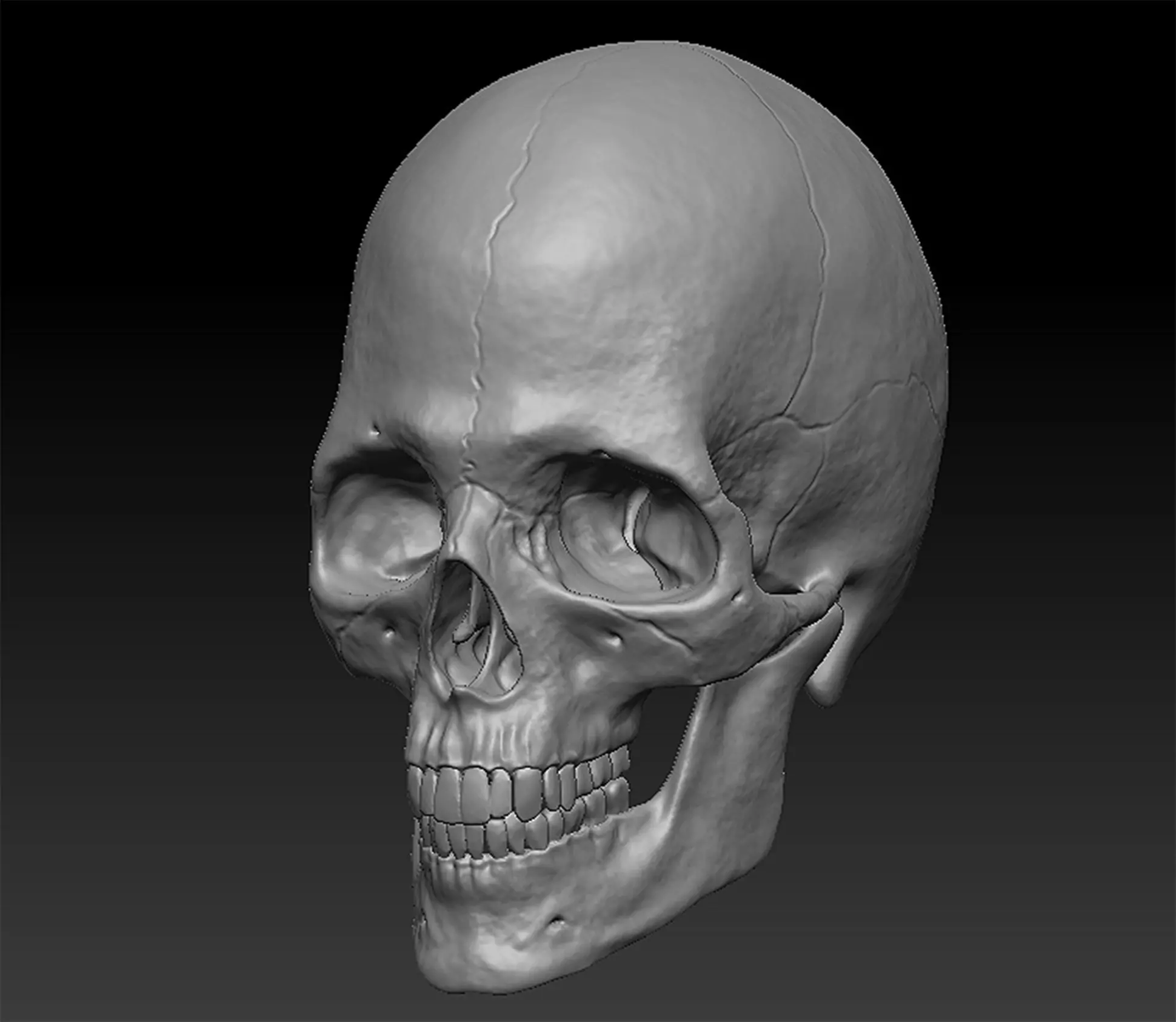 Skull Human model 3D model_0