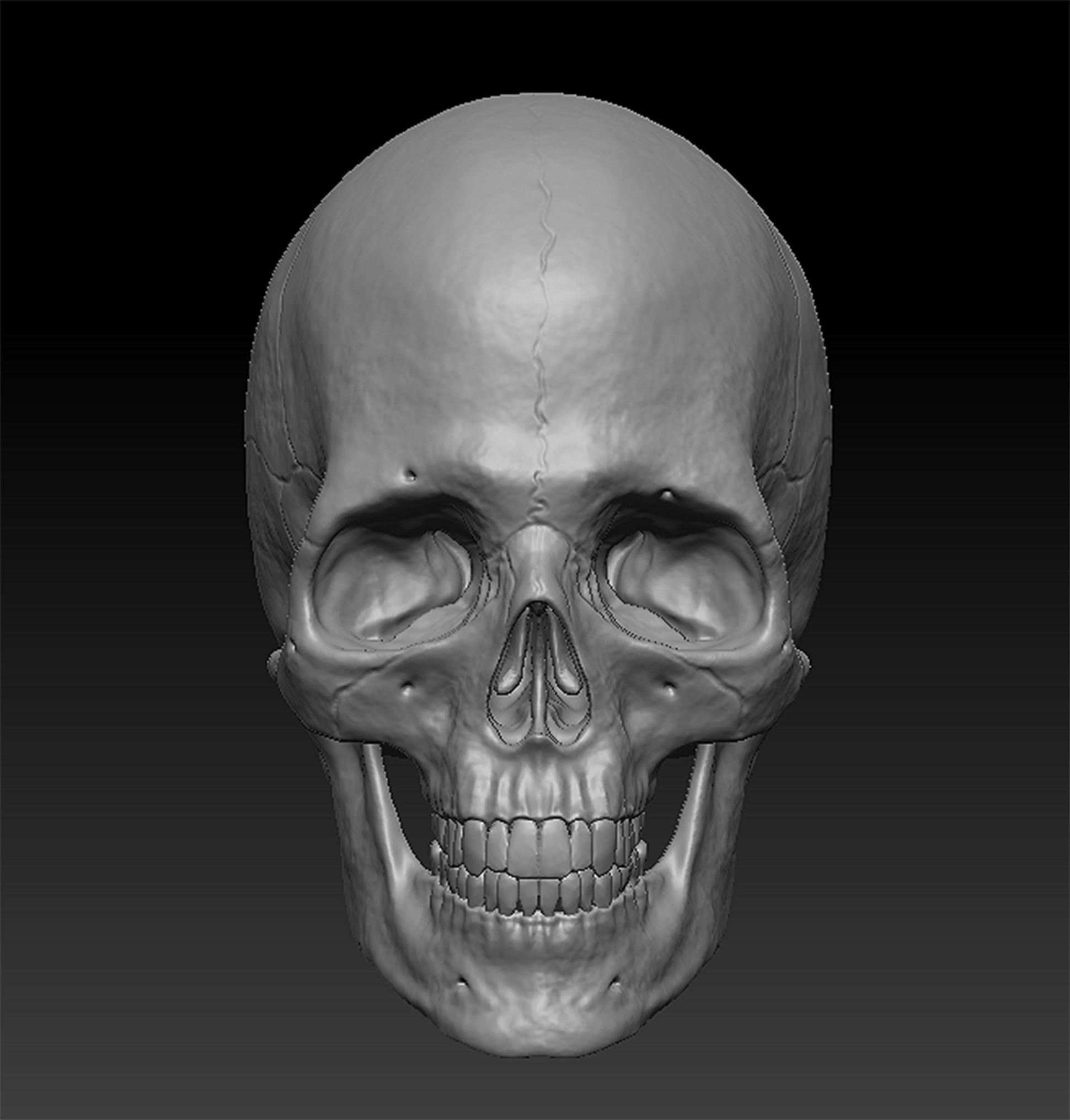 Skull Human model 3D model_1