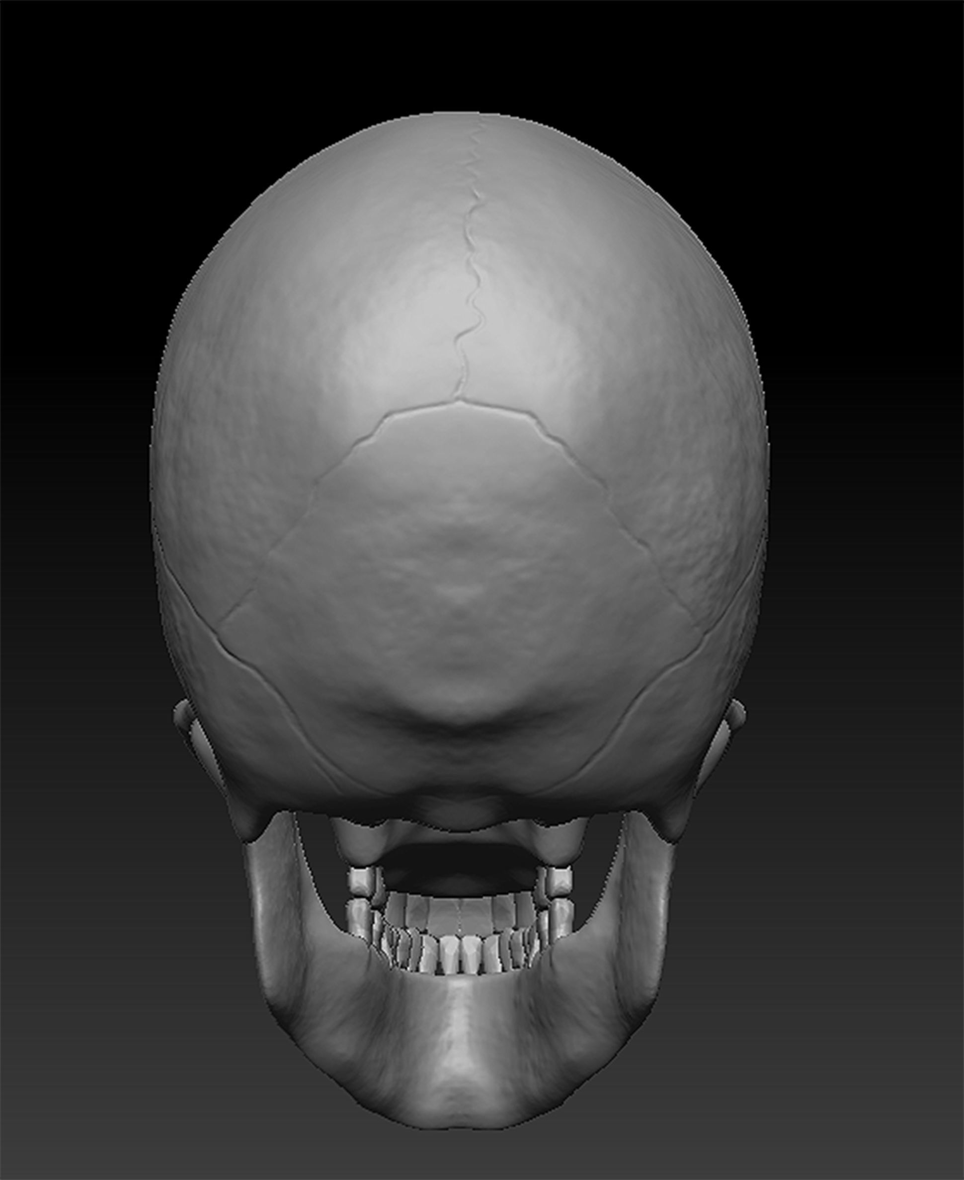Skull Human model 3D model_6