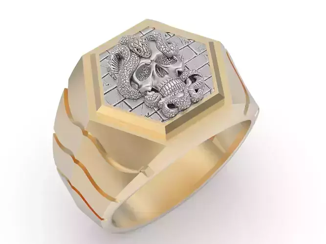 Skull and snake Ring Silver Gold  Print